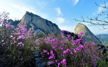 북한산 - 북한산