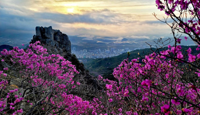 금정산 - 금정산