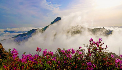 미리 가보는 월출산의 봄 - 월출산