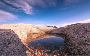 오봉바라보기...