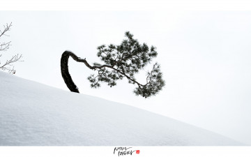 도봉산  설경...