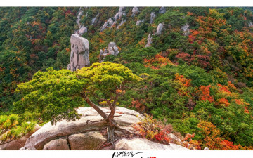 도봉산의  가을...