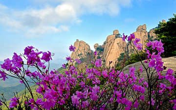 오봉의 봄 - 도봉산