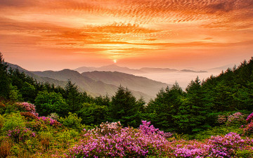 좋은 아침 - 지리산