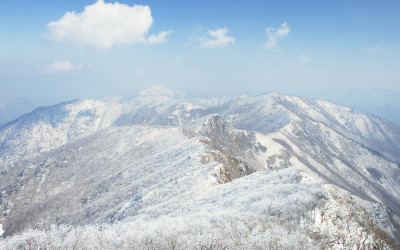 좋은 아침