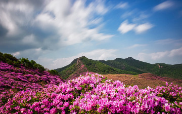 좋은 아침 - 황매산