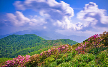 좋은 아침 - 덕유산