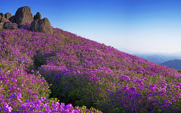 좋은 아침 - 초암산