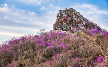 금정산의 아침을  담는 회원님들 - 금정산