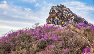 금정산의 아침을  담는 회원님들 - 금정산