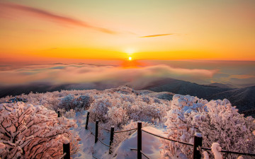 환상의빛과상고대