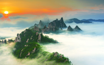 공룡의 빛과운해바다