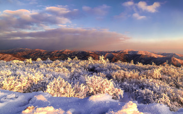 태백에서 바라본 아름다운 산 능선