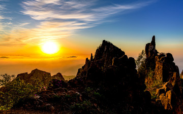 월출산 사자바위