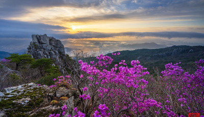 금정산 봄 나들이 - 금정산