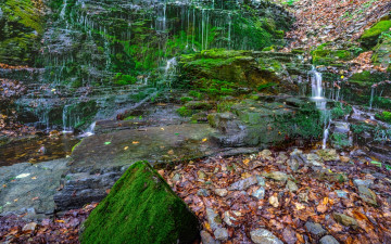 관음굴 이끼폭포