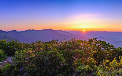 소백산 연화봉 일출