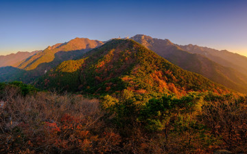 동봉을 바라보며...