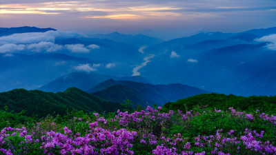 Image 129341