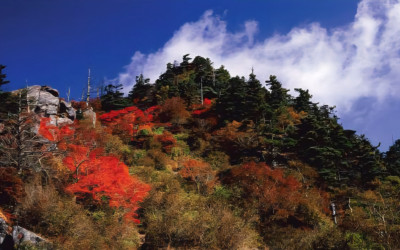 지리 중봉의 가을