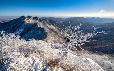 계룡산의 겨울