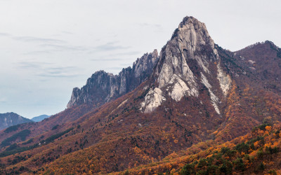 울산암