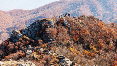 안내산행