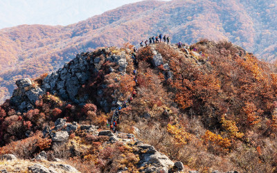 안내산행