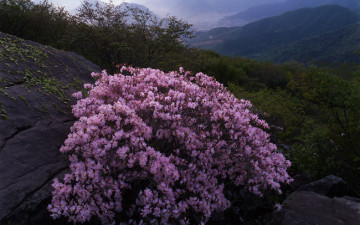 무등산. - 무등산
