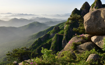 월출산. - 월출산