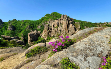 월출산. - 월출산