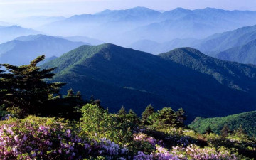 반야봉. - 지리산