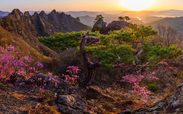 진안 구봉산의 봄 - 구봉산