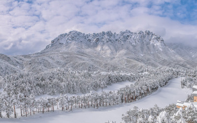 울산암을