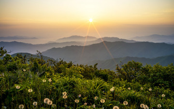 뎍유산촬영대회