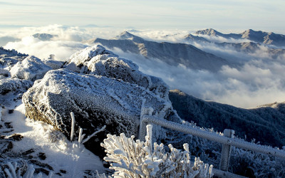 안개 바람의 흔적