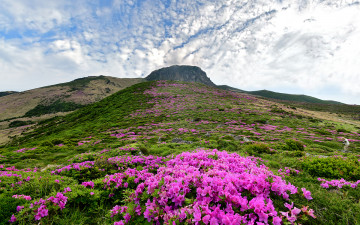 봄의 끝자락에서~~ - 한라산