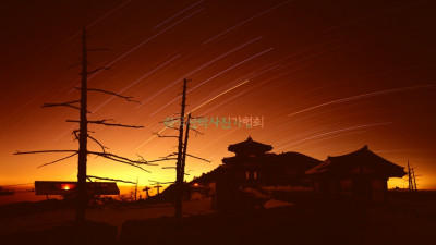 설천일주