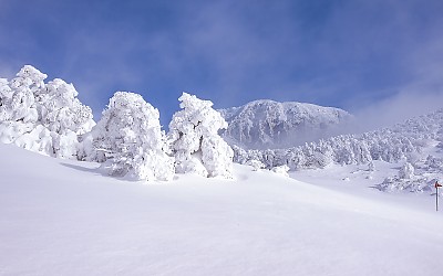 한라산 설경