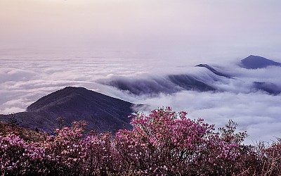 노고단